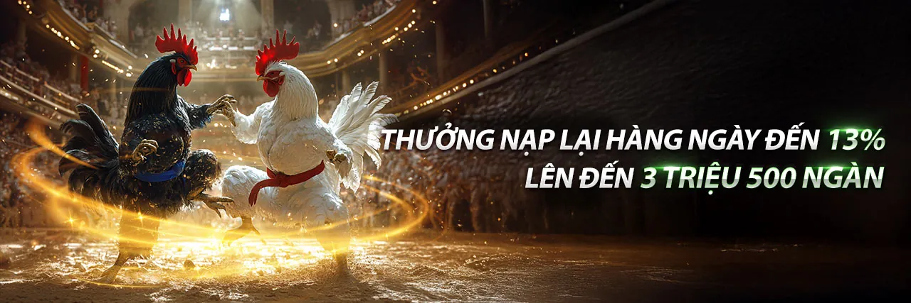 Khám phá các điều khoản dịch vụ mới nhất tại 68bet