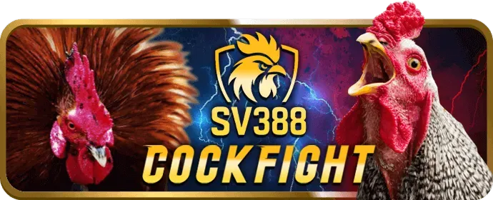 Trải nghiệm xem đá gà trực tiếp tại 68bet